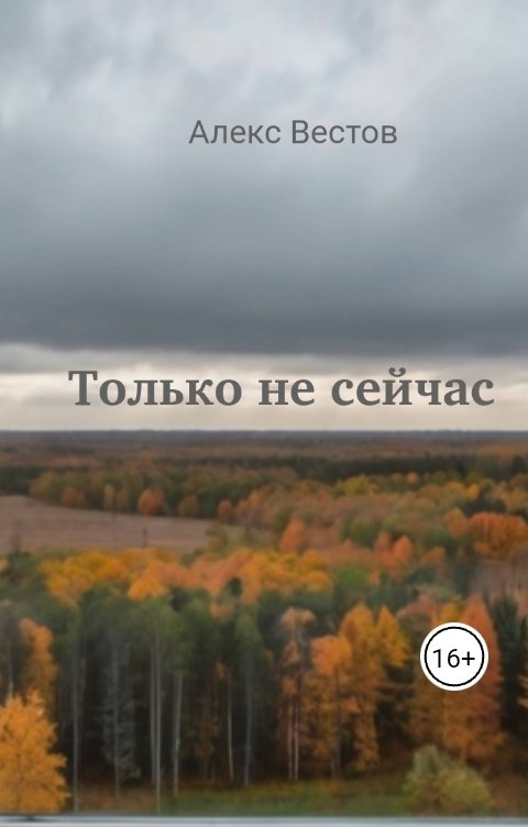 Обложка книги Алекс Вестов Только не сейчас