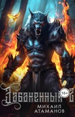 обложка книги Михаил Атаманов "Забаненный-2"