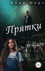 обложка книги Анна Норт "Прятки"