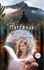 обложка книги Мелисса Раф "Мятежник"