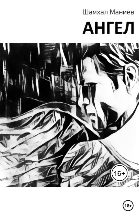 Обложка книги Шамхал Маниев Ангел