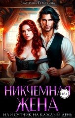 обложка книги Екатерина Гераскина "Никчемная жена, или супчик на каждый день"