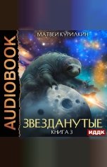 обложка книги Курилкин Матвей "Звезданутые. Книга 3. Звезданутые во мгле"