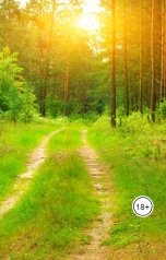 обложка книги Андрей Погорелко "Дневник горожанина. Часть 2."