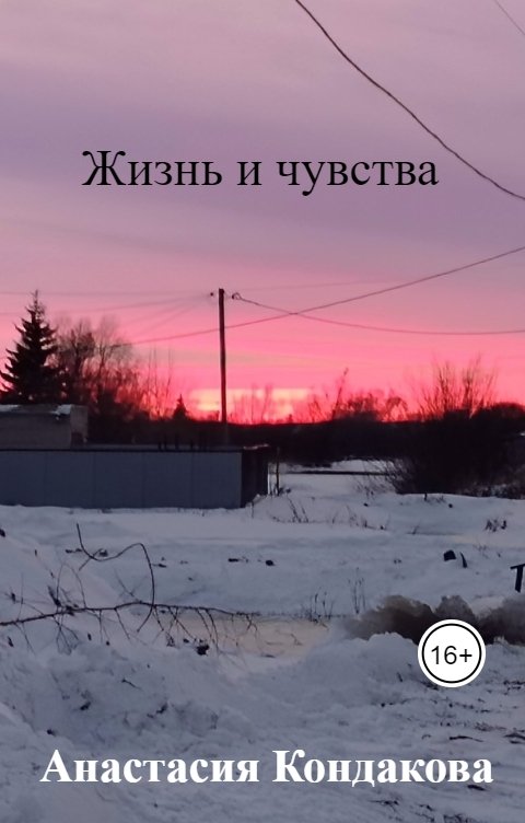 Обложка книги Анастасия Кондакова Жизнь и чувства