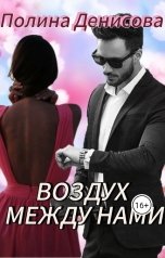 обложка книги Полина Денисова "Воздух между нами"