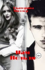 обложка книги Екатерина Миллер "Нам нельзя"