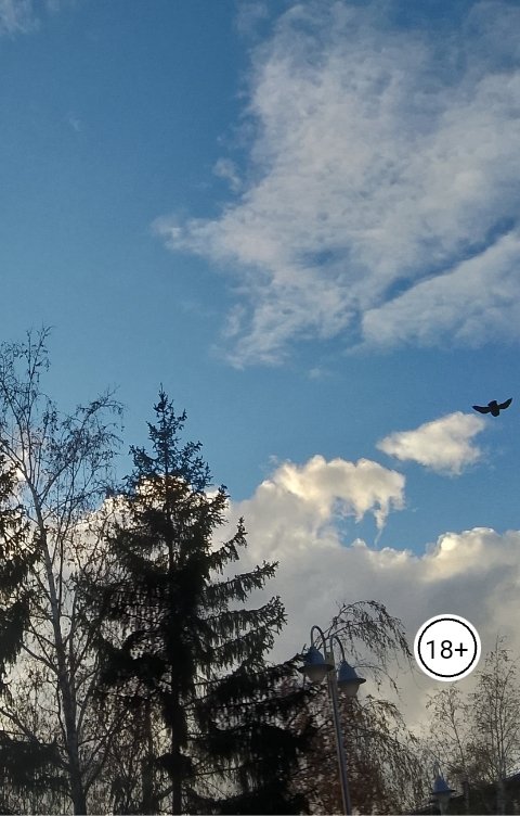 Обложка книги Ольга Карабань Ревность