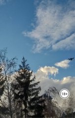 обложка книги Ольга Карабань "Ревность"