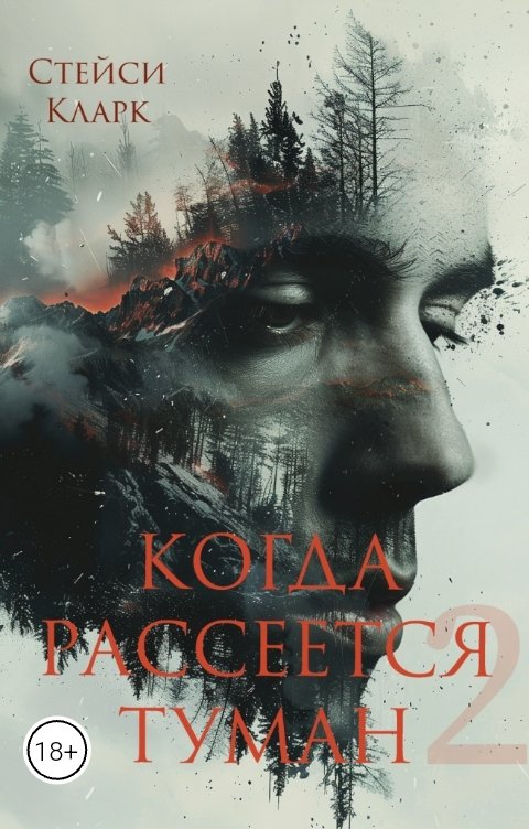 Обложка книги Стейси Кларк Когда рассеется туман. Книга 2