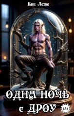 обложка книги Ева Лето "Одна ночь с дроу"