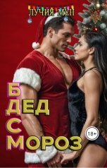 обложка книги Лучия Мун "БДСМ Дед Мороз"