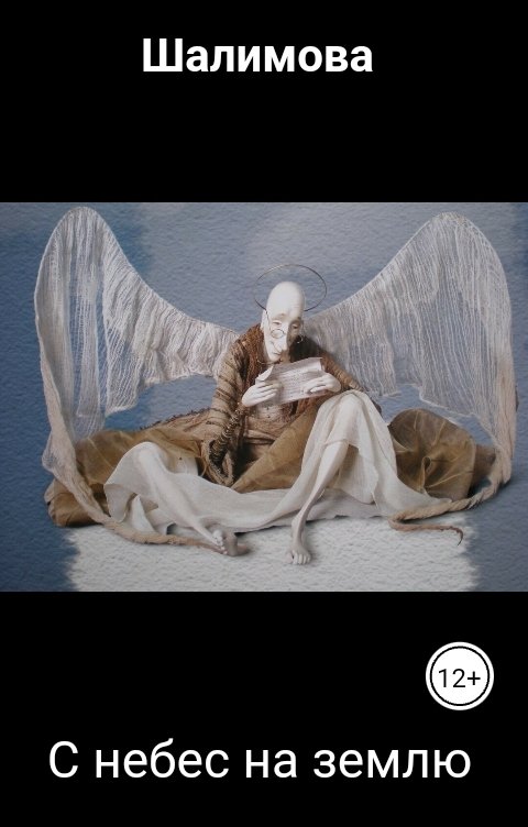 Обложка книги 57ЛилИ С небес на землю