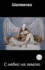 обложка книги Шалимова "С небес на землю"