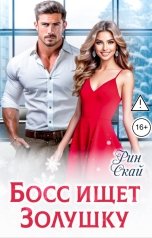 обложка книги Рин Скай "Босс ищет Золушку"
