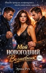 обложка книги Эрика Руч "Мой новогодний волшебник"