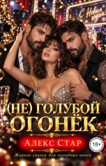 обложка книги Алекс Стар "(НЕ) голубой огонёк"
