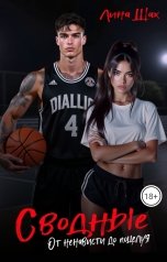 обложка книги Лина Шах "Сводные. От ненависти до поцелуя"