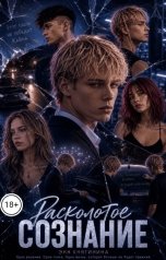 обложка книги Энн Княгинина "Расколотое сознание"