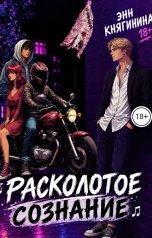 обложка книги Энн Княгинина "Расколотое сознание"