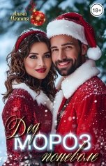 обложка книги Алена Нежная "Дед Мороз поневоле"