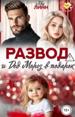 обложка книги Ада Линн "Развод и Дед Мороз в подарок"