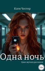 обложка книги Катя Честер "Одна ночь"