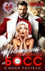 обложка книги Евгения Кец "Новогодний переполох и босс в моей постели"