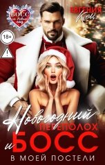 обложка книги Евгения Кец "Новогодний переполох и босс в моей постели"