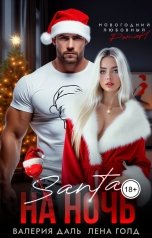 обложка книги Валерия Даль, Лена Голд "Санта на ночь"
