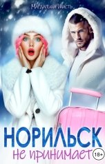 обложка книги Магдалина Шасть "Норильск не принимает"