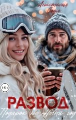 обложка книги Анастасия Соул "Развод. Подарок на Новый год."