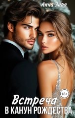 обложка книги Анна Заря "Встреча в Канун Рождества"