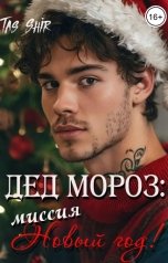 обложка книги TasShir "Дед Мороз: миссия Новый год"