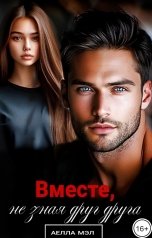 обложка книги Аелла Мэл "Вместе, не зная друг друга"