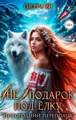 обложка книги Сиерра Ви "(Не)подарок под ёлку"
