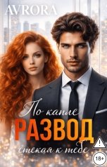 обложка книги Avrora "Развод. По капле стекая к тебе"