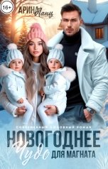 обложка книги Арина Ланц "Новогоднее чудо для магната"