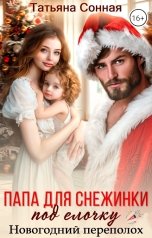 обложка книги Папа для снежинки под елочку.