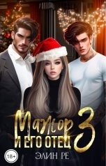 обложка книги Элин Ре "Мажор и его отец 3"