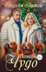 обложка книги Сладкая Арман "Поверь в чудо"