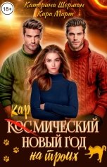 обложка книги Кира Март, Катерина Шерман "Кос(кар)мический новый год на троих"