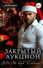обложка книги Энканта "БДСМ-клуб "Сабспейс". Закрытый аукцион"