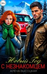 обложка книги Алёна Высоцкая "Новый Год с незнакомцем"