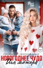 обложка книги Рина Вин "Новогоднее чудо для мажора"