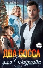обложка книги Елена Грасс "Два босса для Снегурочки"