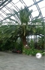 обложка книги Pavlov Sergey "Баронесса де Махаон"