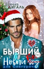 обложка книги Евгения Дигаль "Бывший новый босс для Снегурочки"