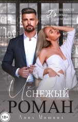 обложка книги Анна Мишина "Их снежный роман"