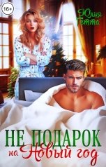 обложка книги Юлия Гетта "Не подарок на Новый год"